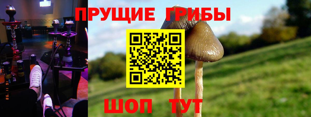 Псилоцибиновые грибы мухоморы  Вход с VPN  Пермь  Псилоцибиновые грибы Psilocybine cubensis 